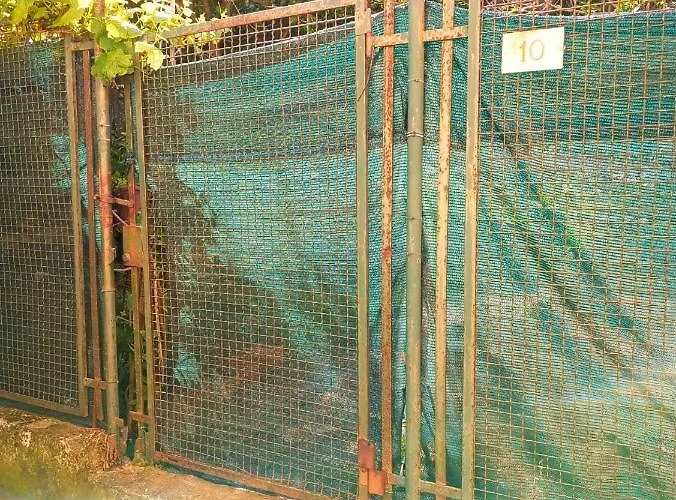 Norina\'S House