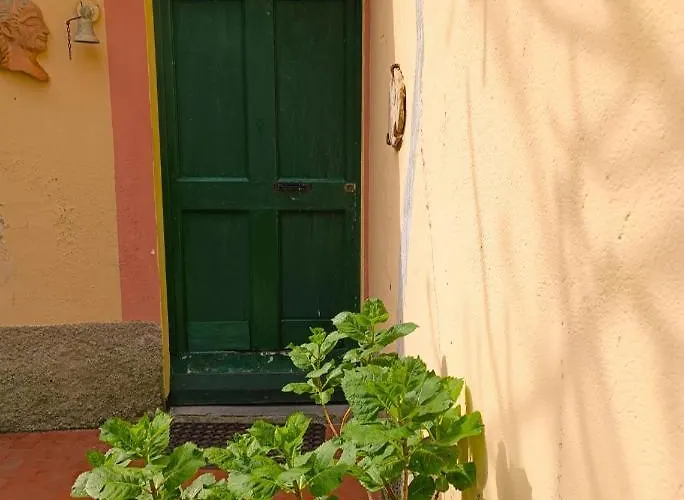 Norina\'S House